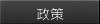 政策